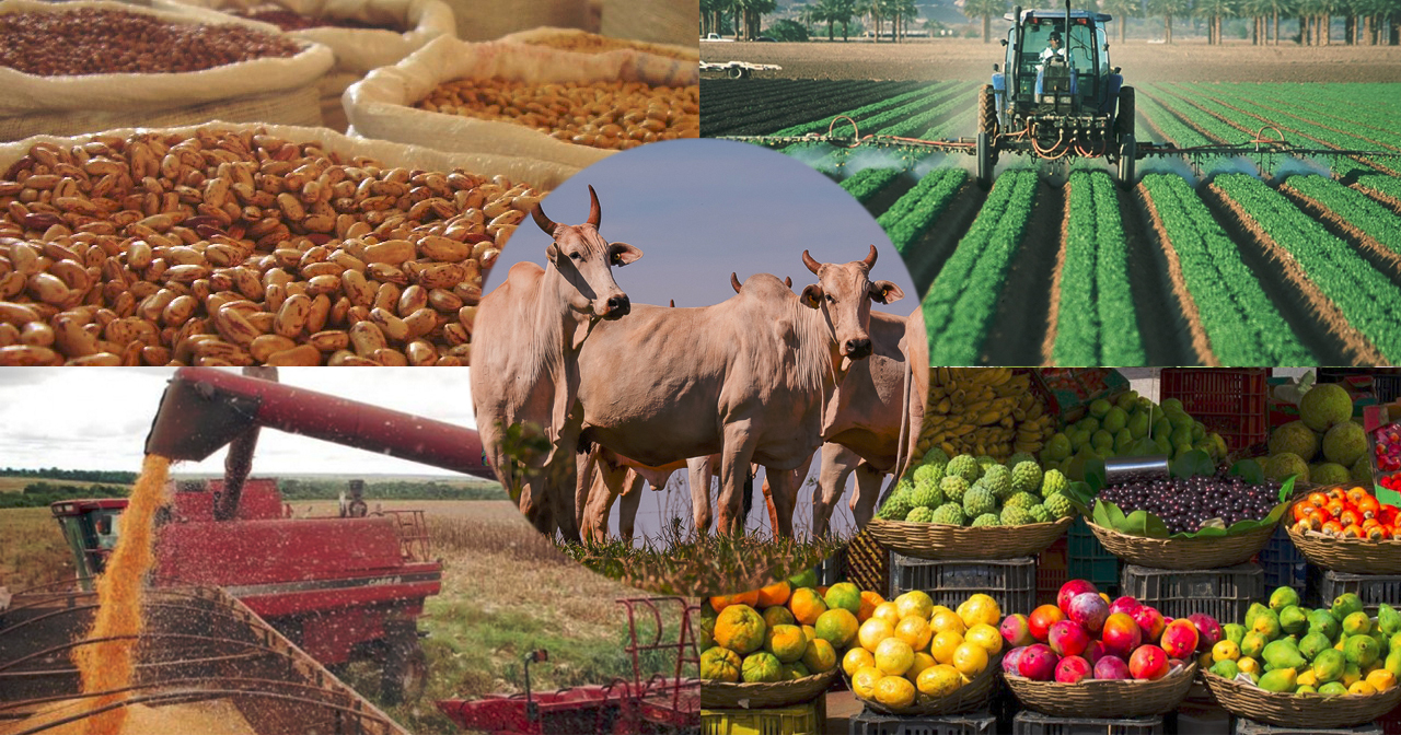 Agronegócio e Mercados Globais